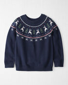 Jeune - Chandail tricot motif jacquard en coton biologique, image 1 sur 3 diapositives