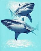 Kid Shark Rashguard, image 2 of 3 slides