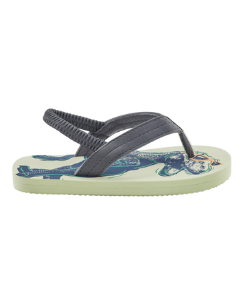 Dinosaur Flip Flops, 