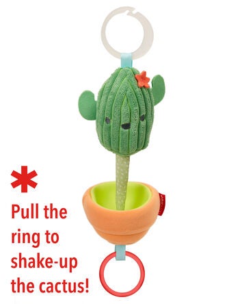 Baby Farmstand Jitter Cactus, 