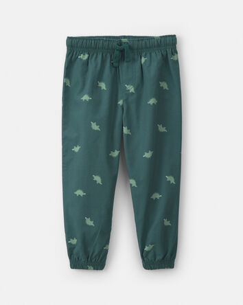 Tout-petit gar&ccedil;on - Ensemble 2 pi&egrave;ces haut manches longues &agrave; capuchon et pantalon en molleton &agrave; motif dinosaure - Gris/Vert, 