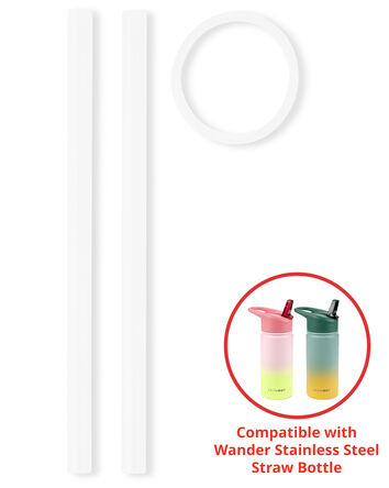 Wander Straw Bottle Extra Straws - 2-Pack, 