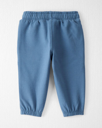 Baby 2-Pack Organic Cotton French Terry Sweatpants, 