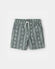 Gris/Vert