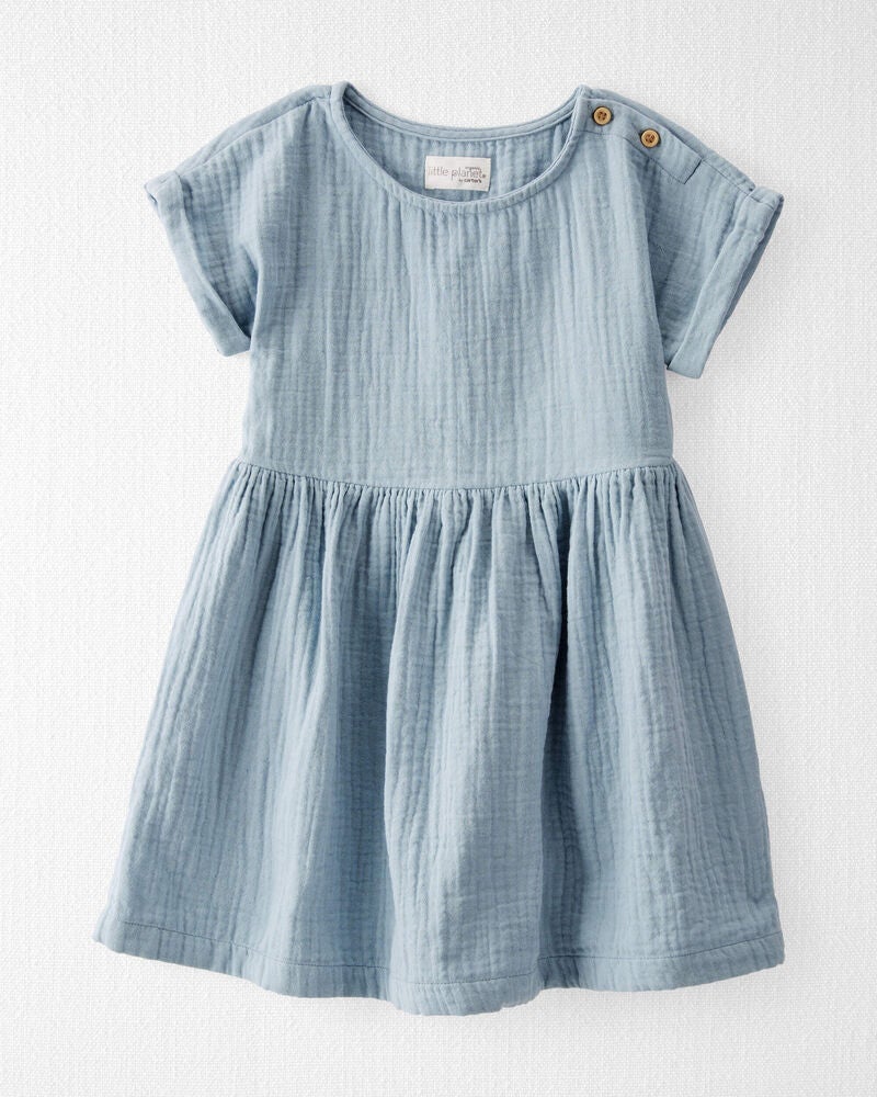 Toddler Organic Cotton Gauze Dress in Blue
, image 9 of 10 slides
