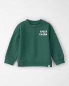 Toddler Organic Cotton Lucky Charm Sweatshirt, image 1 of 4 slides