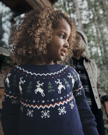 Toddler Organic Cotton Fair Isle Sweater Knit Pullover, 