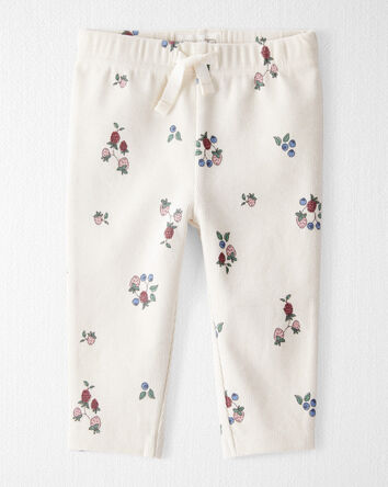 Baby Organic Cotton Ribbed Knit Pants in Berry Blossom Print, 