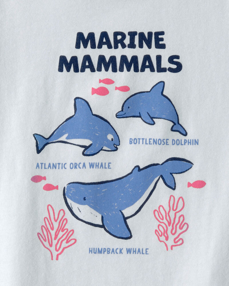 Toddler Dolphin Graphic Tee - Blue, image 2 of 3 slides