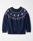 Kids Organic Cotton Fair Isle Sweater Knit Pullover, image 1 of 4 slides
