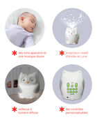 B&eacute;b&eacute; Appareil lumineux apaisant Moolight & Melodies hibou, image 3 sur 10 diapositives
