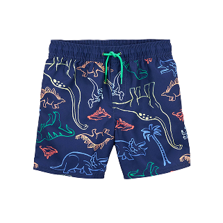 Swim Trunks
