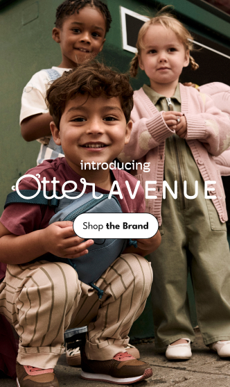 Otter Avenue Interrupter Image