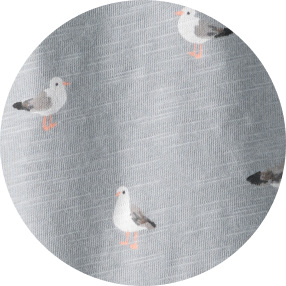 seagulls