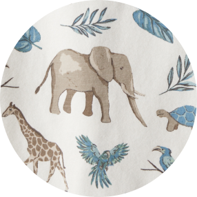 safari