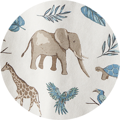 safari