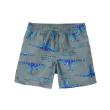 Swimwear