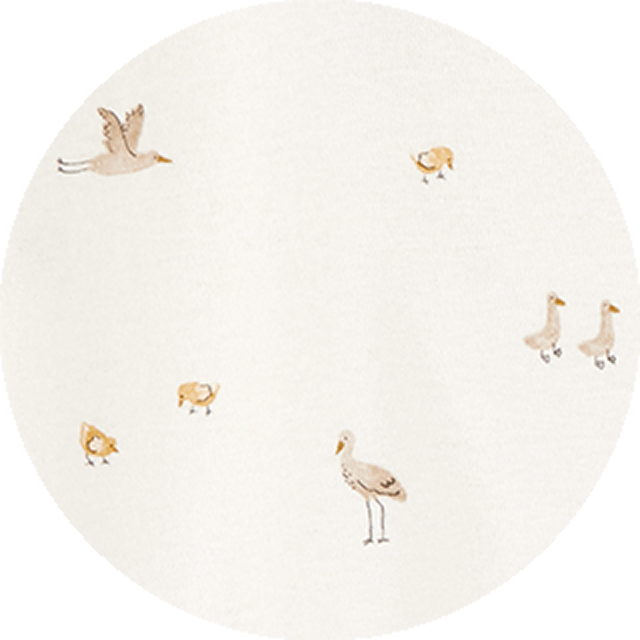Feathered Friends
