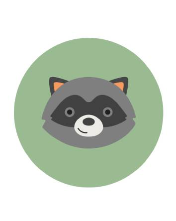 Raccoon