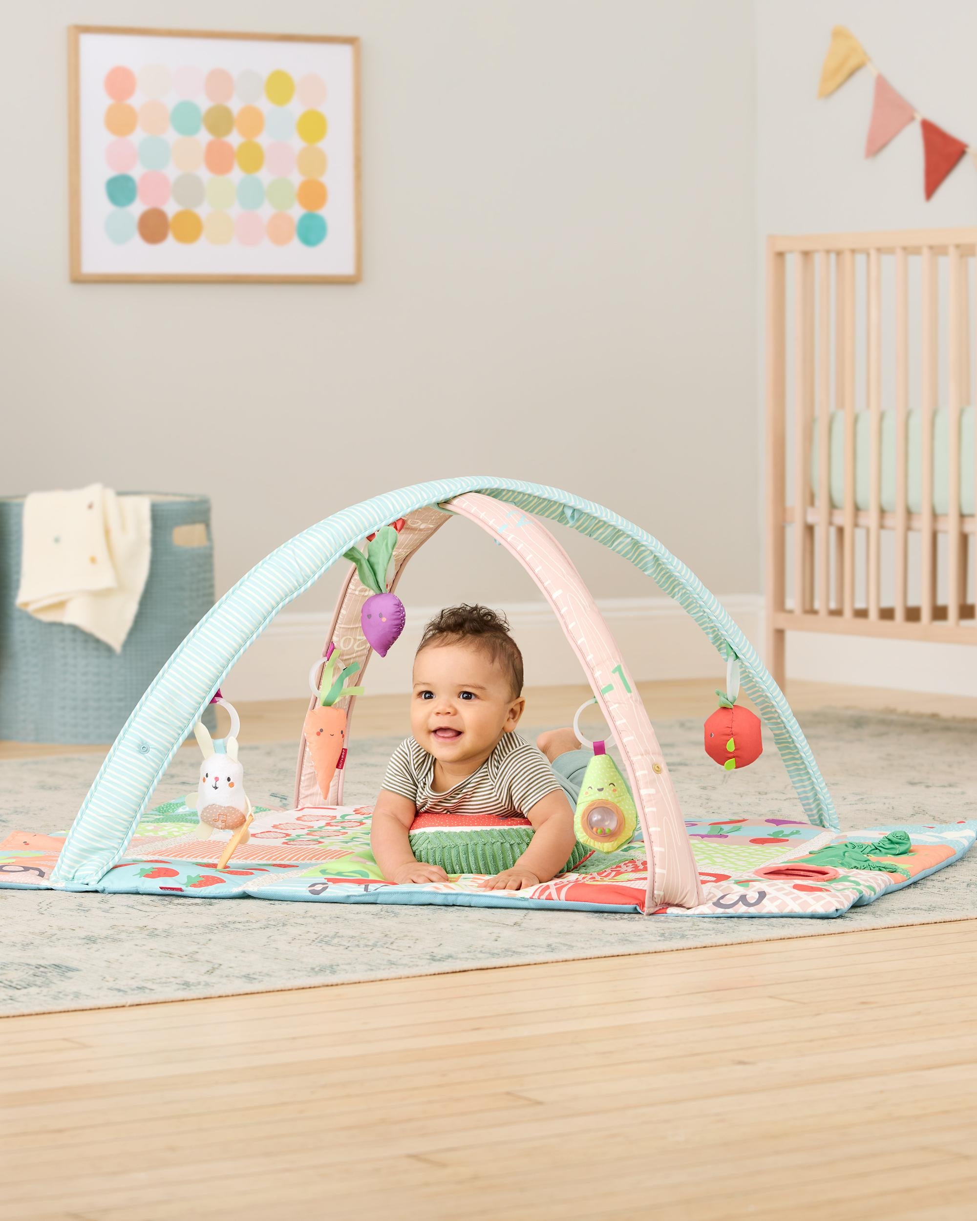 Skip hop top farmstand activity gym
