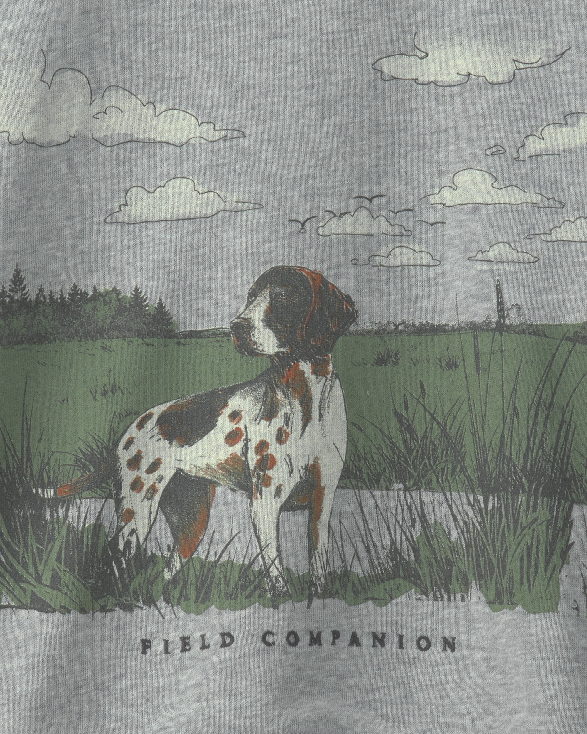 Boys Dog French Terry Pullover Sweatshirt - Grey