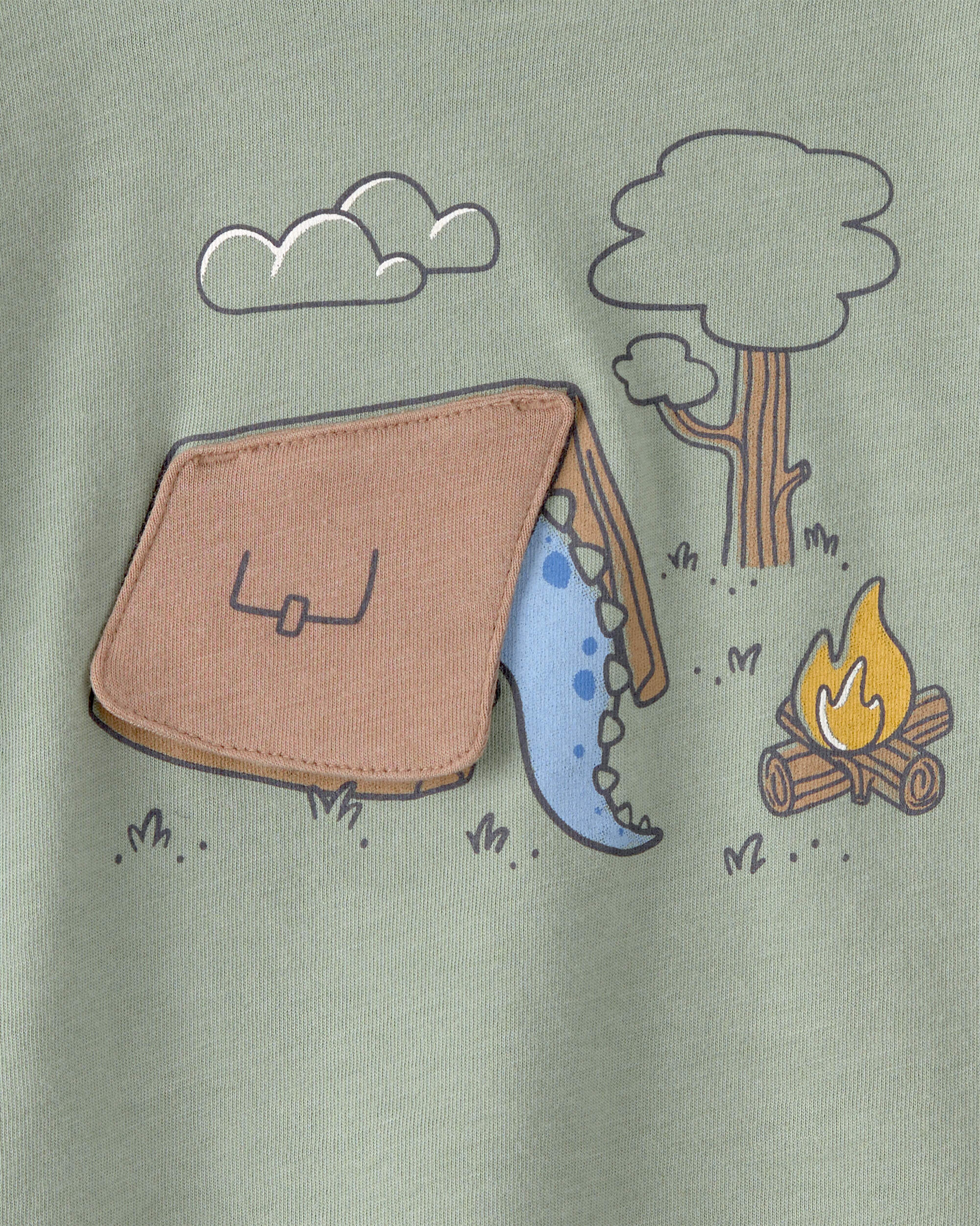 Baby Boy Camping Dinosaur Graphic Tee - Green