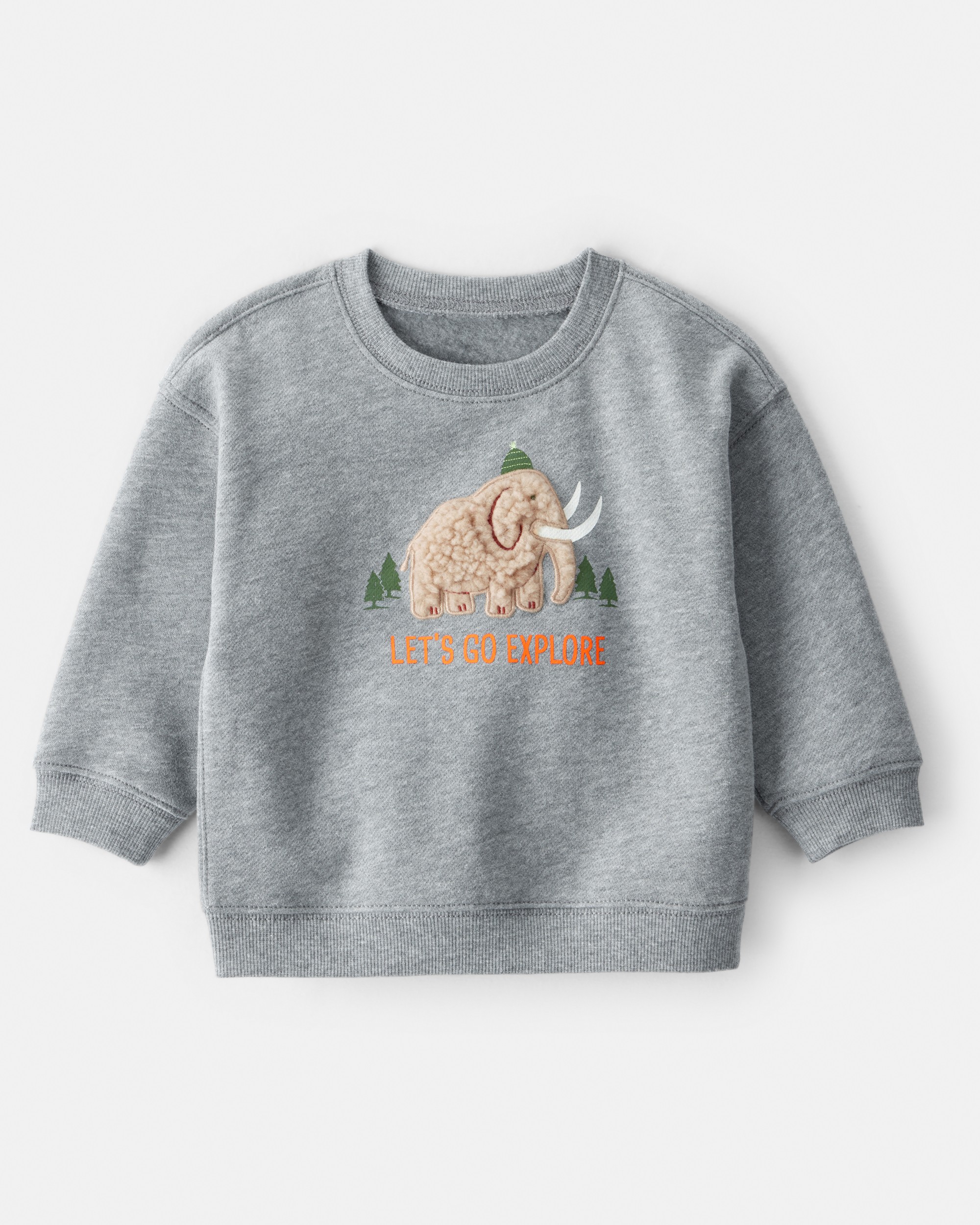 Baby Boy Mammoth Pullover Sweatshirt - Grey