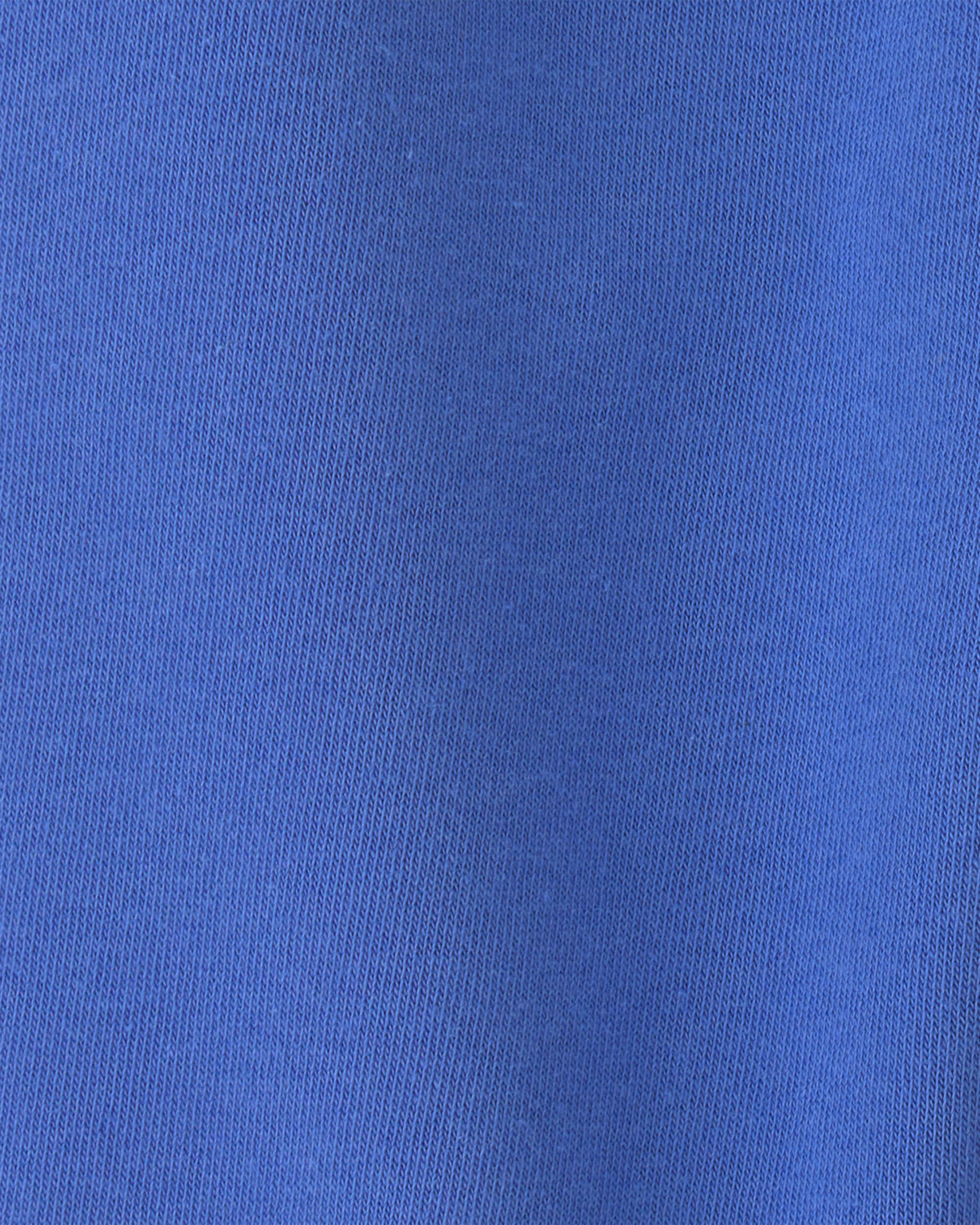 Toddler Boy Fleece Joggers - Blue