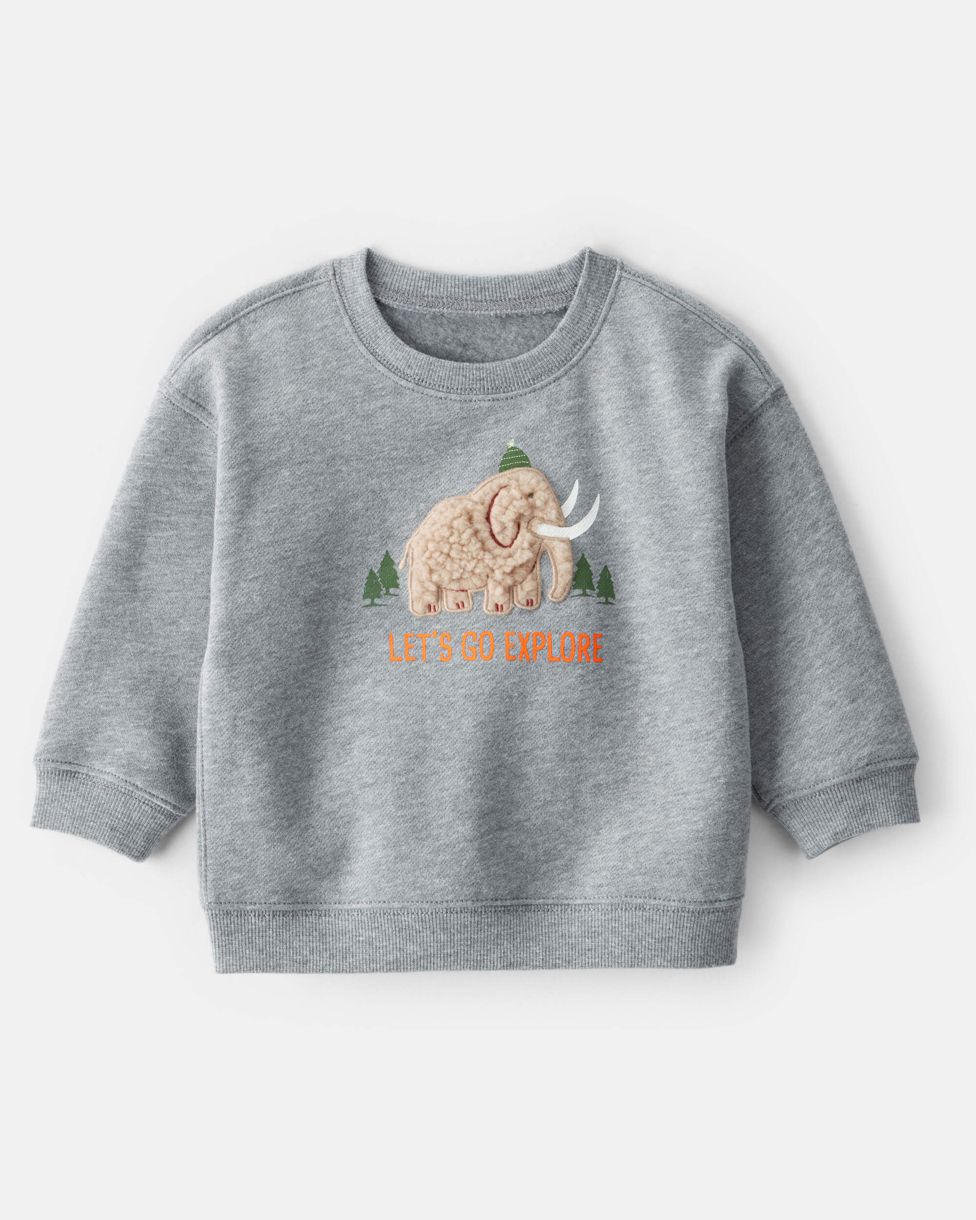 Baby Boy Mammoth Pullover Sweatshirt - Grey