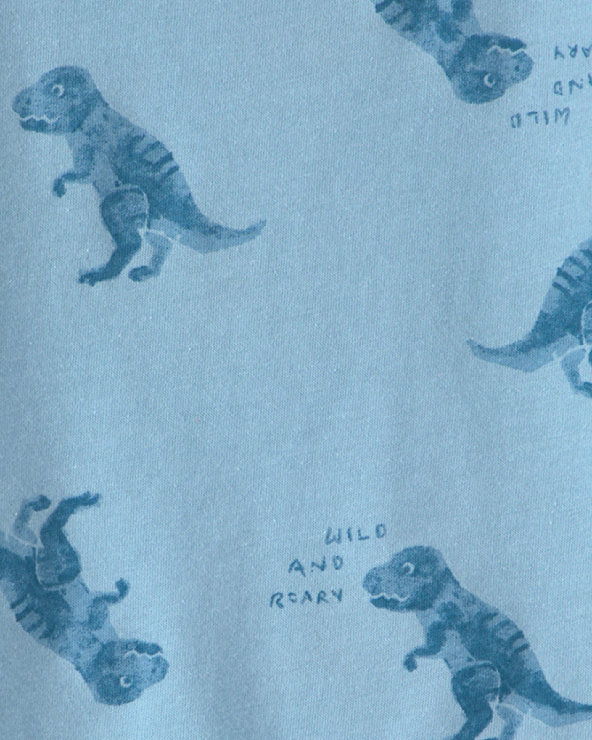 Baby Boy Dinosaur T-Shirt - Blue