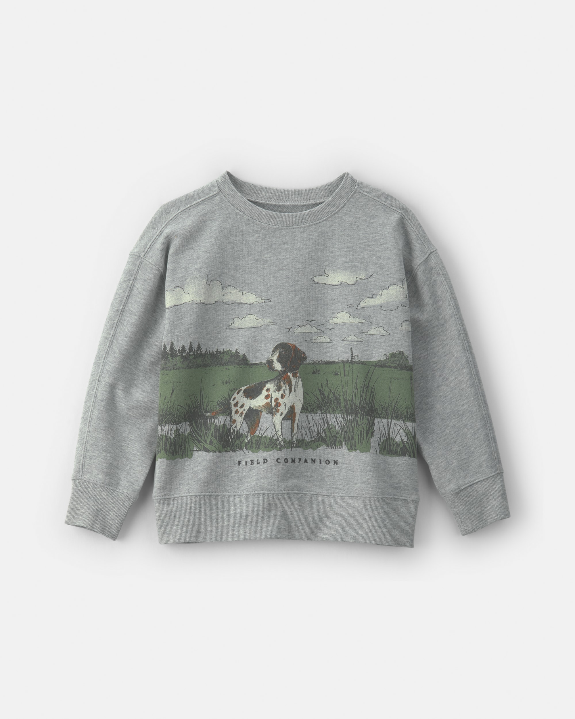 Boys Dog French Terry Pullover Sweatshirt - Grey