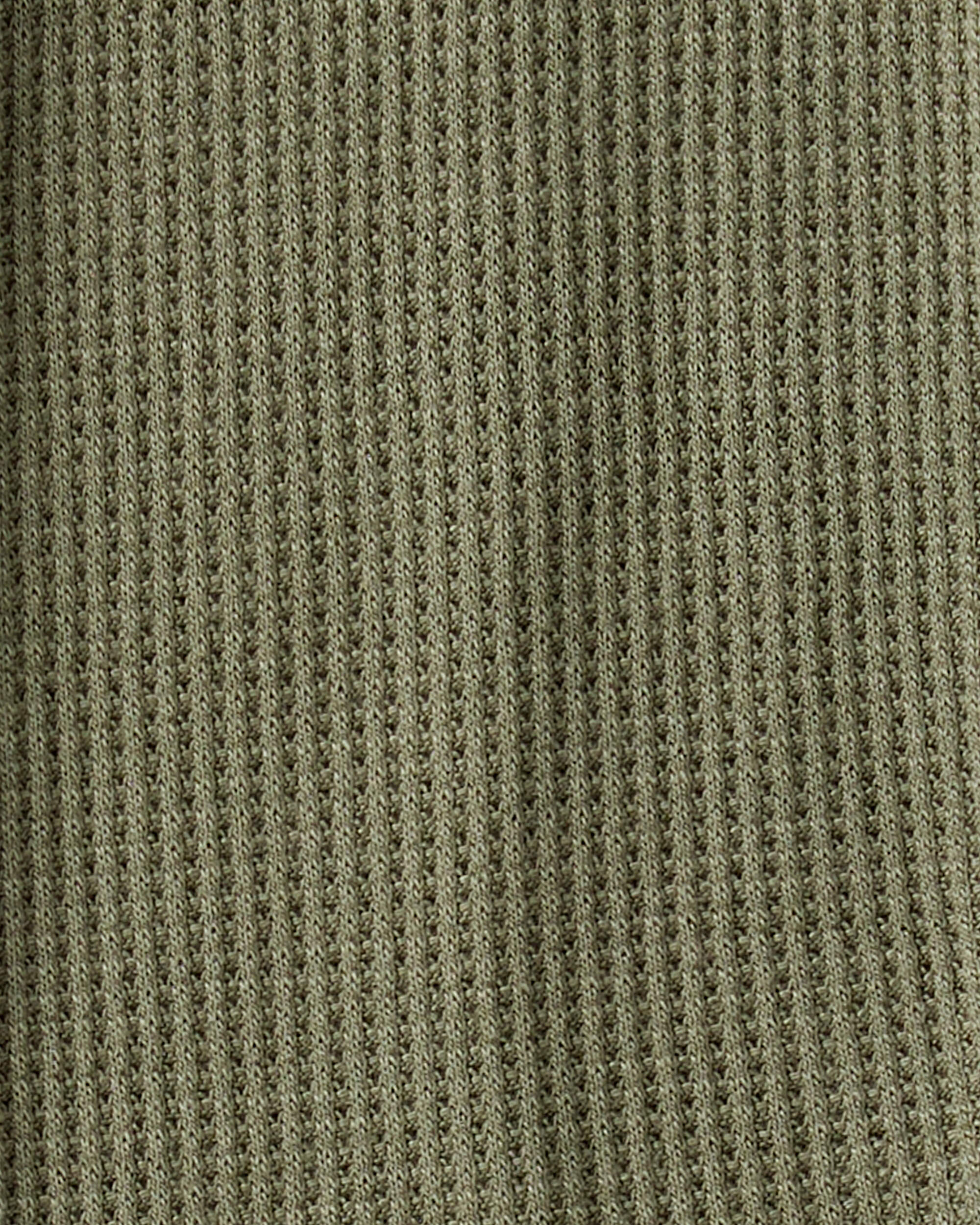 Baby Boy 2-Pack Dinosaur Print PurelySoft Pull-On Pants - Green