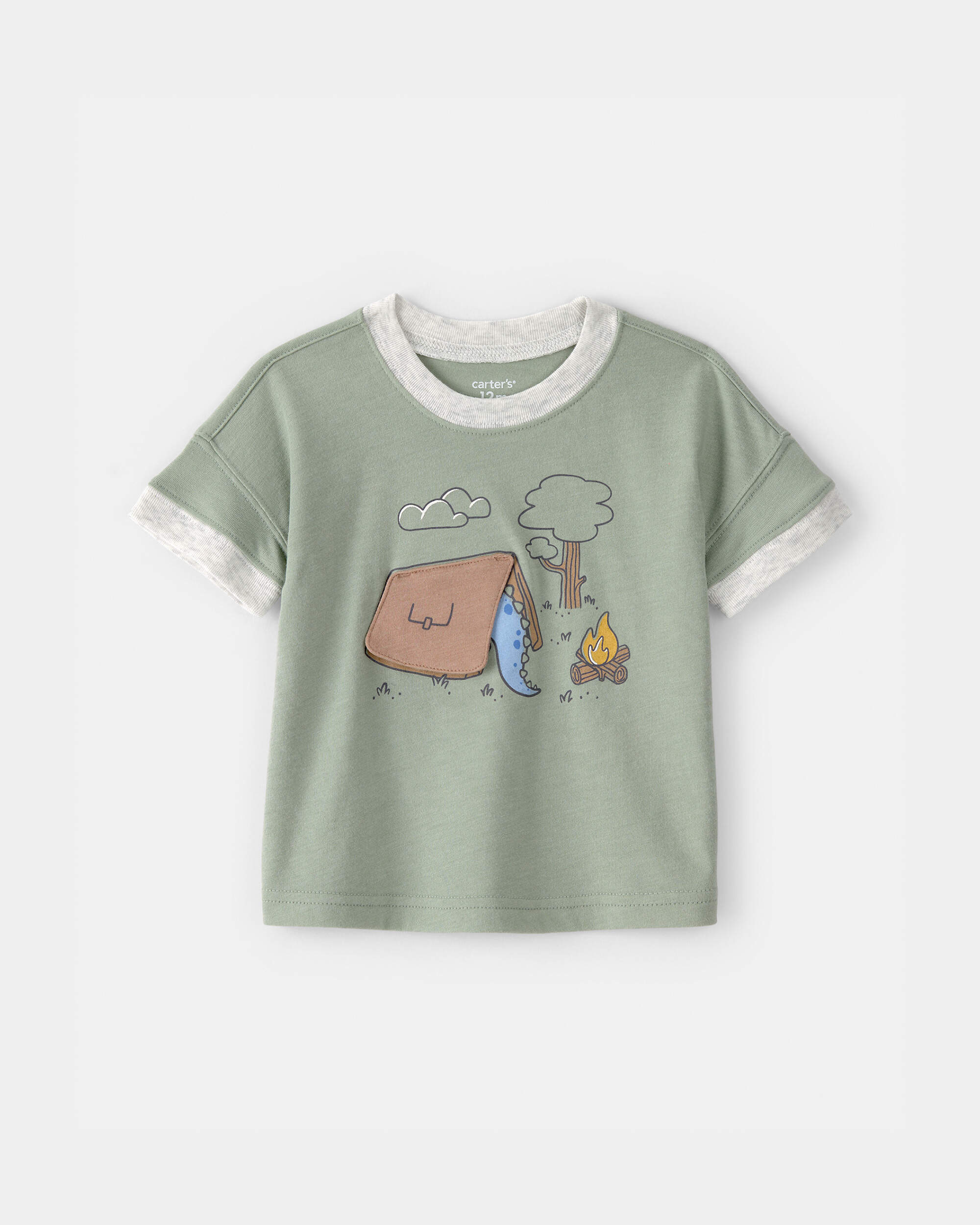 Baby Boy Camping Dinosaur Graphic Tee - Green