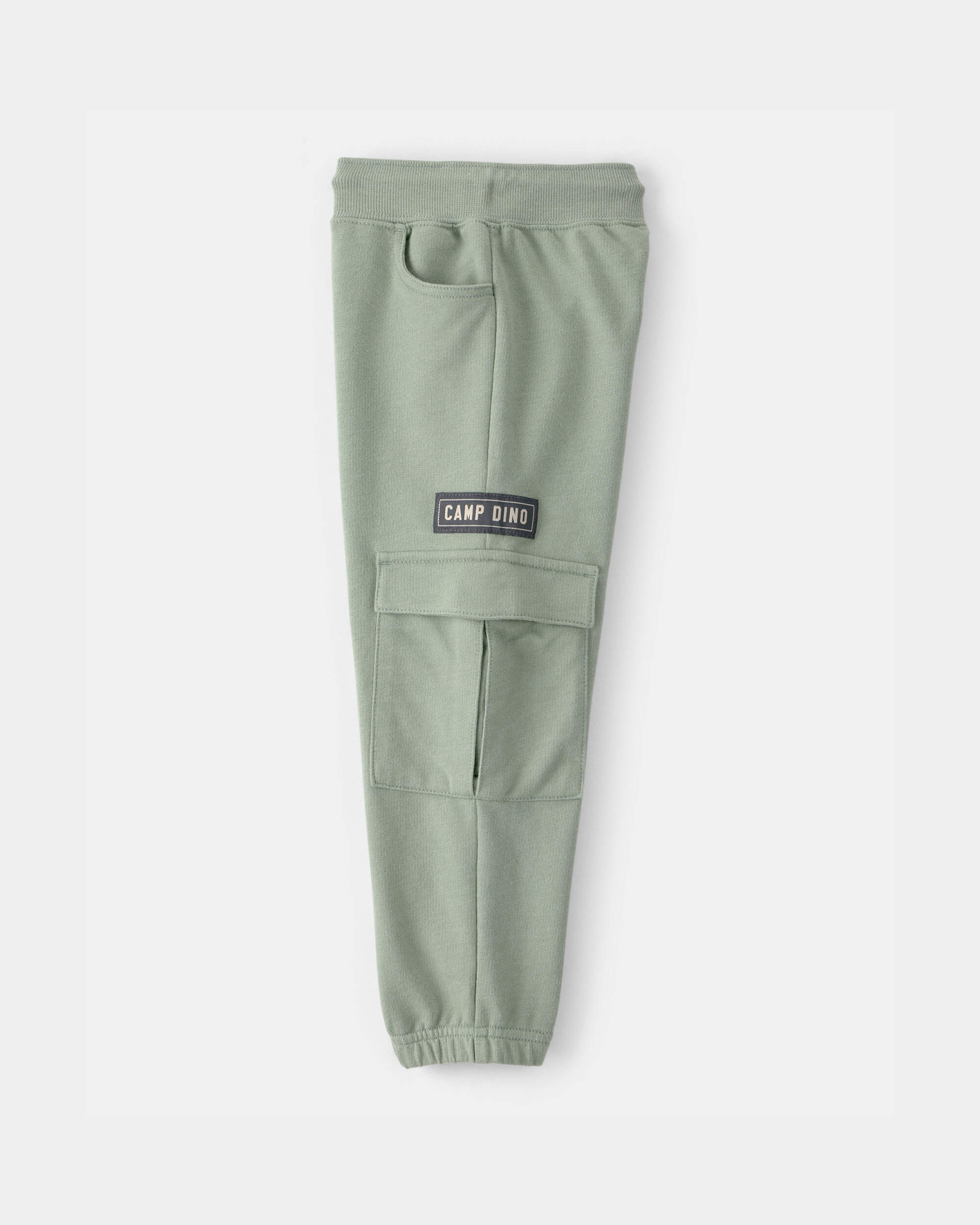 Toddler Boy 'Camp Dino' French Terry Cargo Joggers - Green