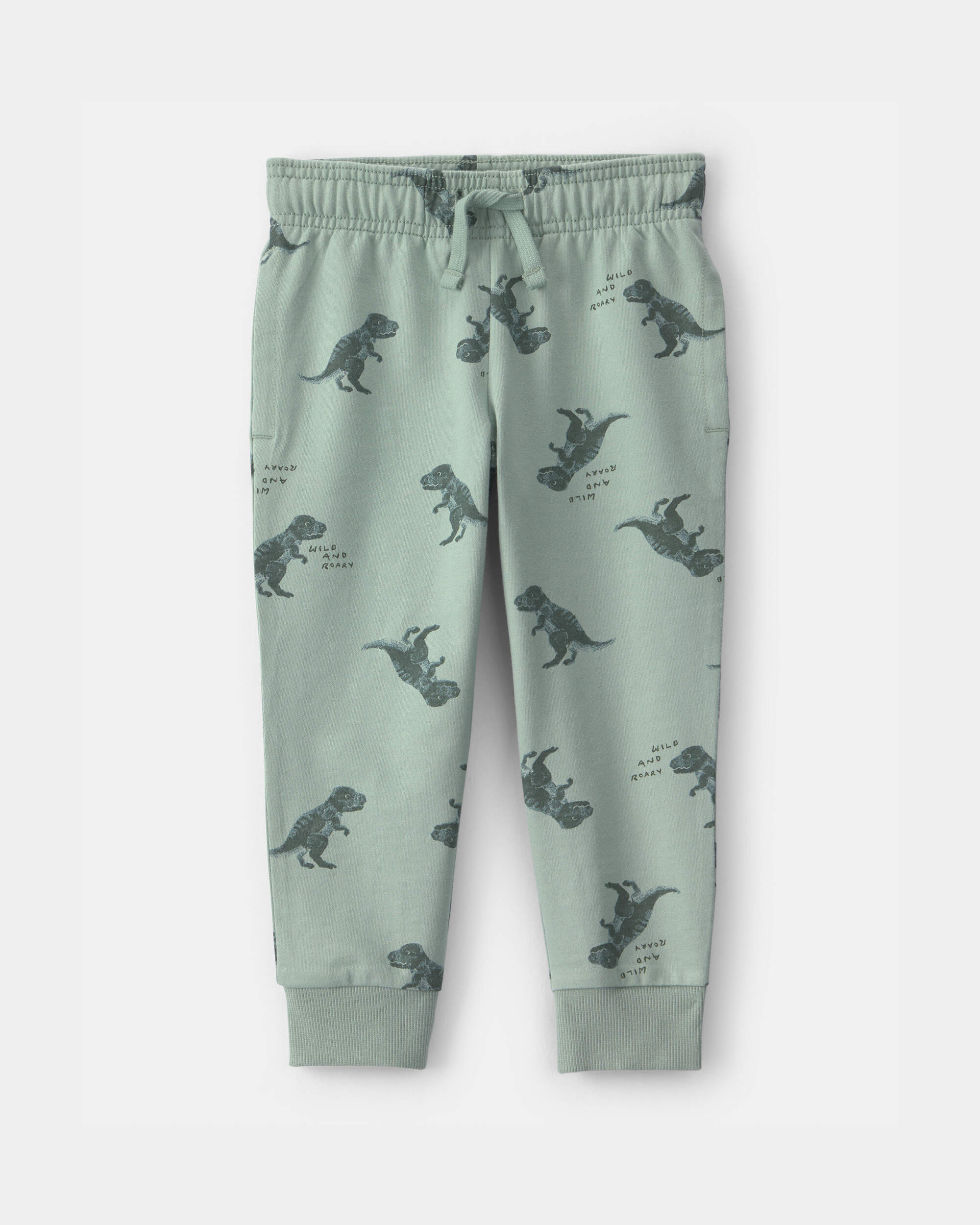 Toddler Boy Dinosaur French Terry Jogger - Green