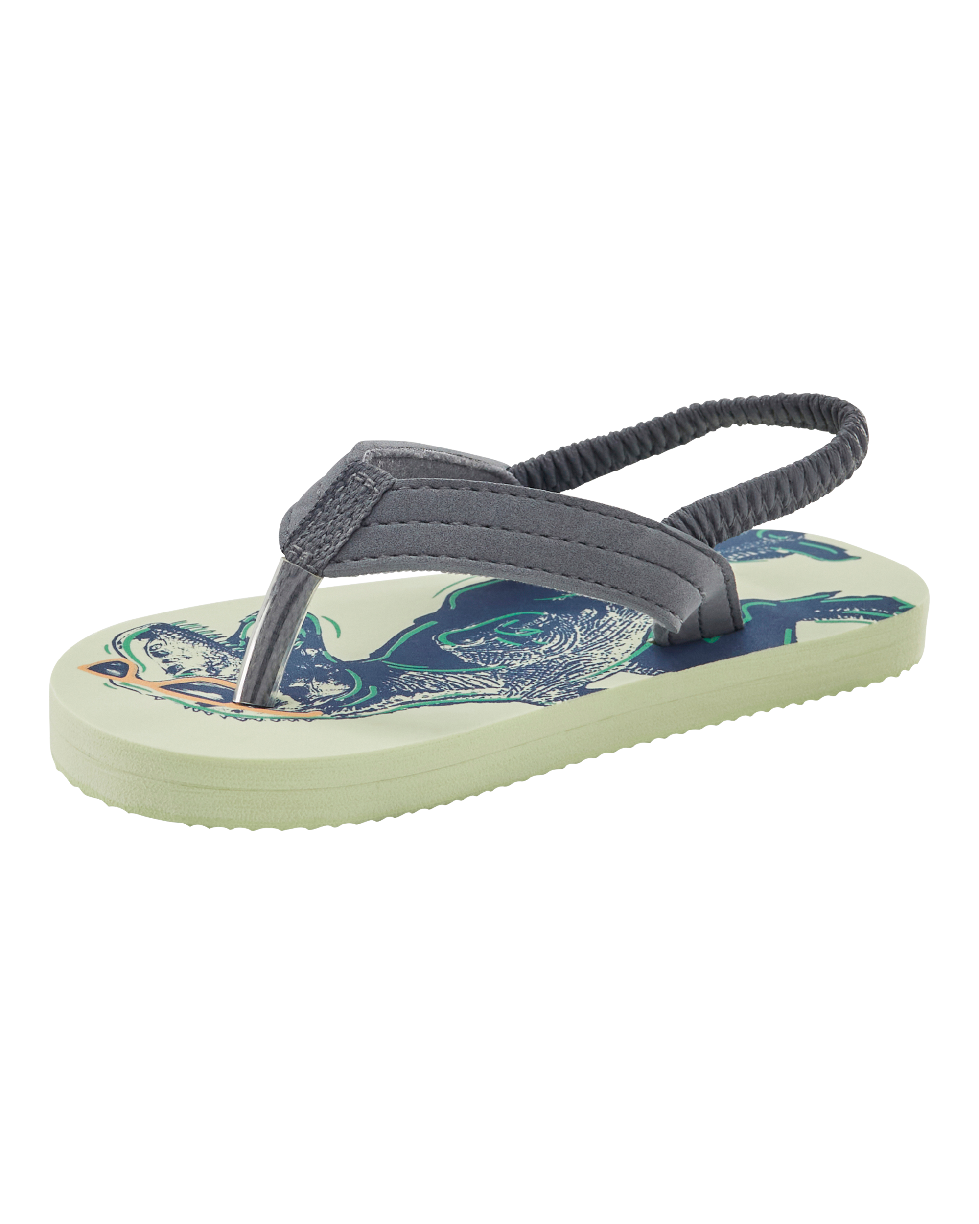 Dinosaur Flip Flops