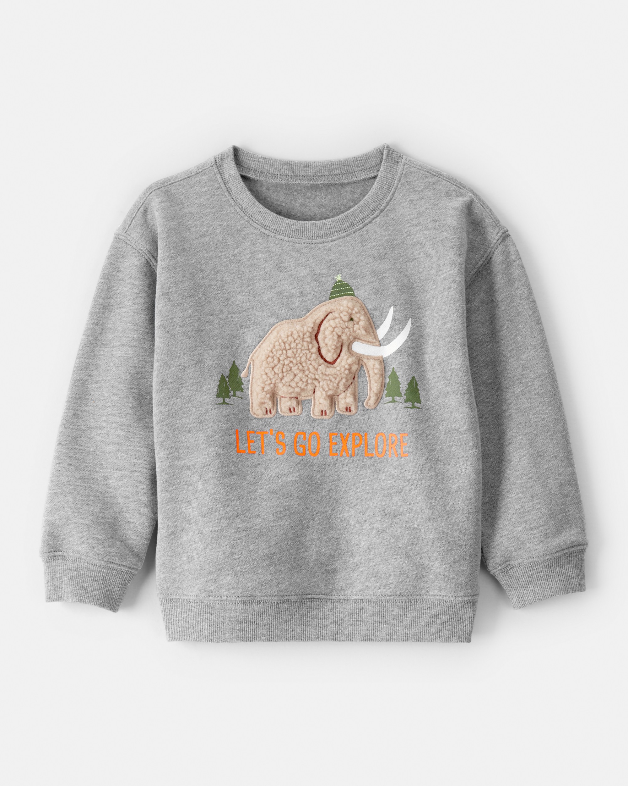 Toddler Boy Mammoth Pullover Sweatshirt - Grey