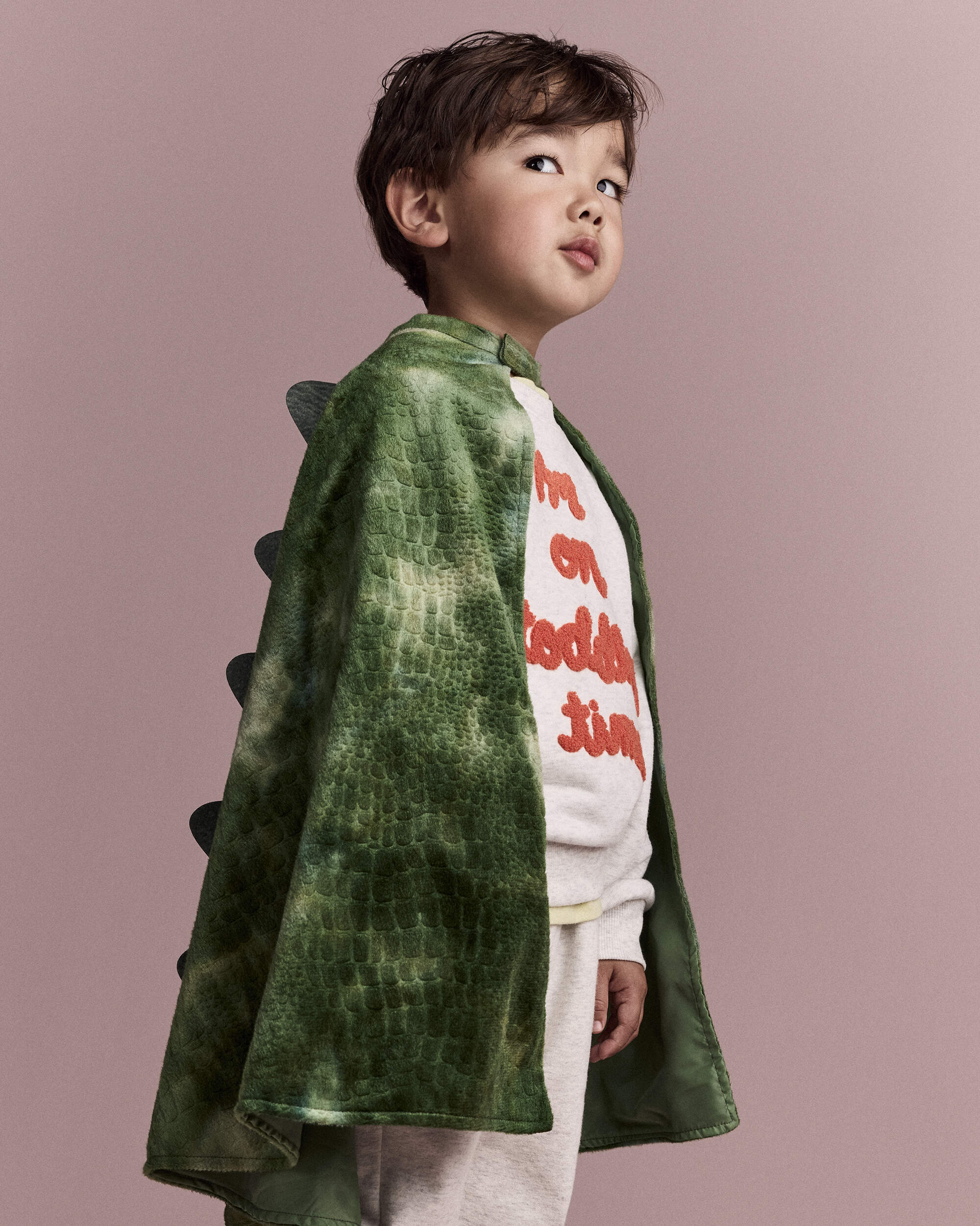 Toddler Believe In Dragons Dress Up Cape - Green