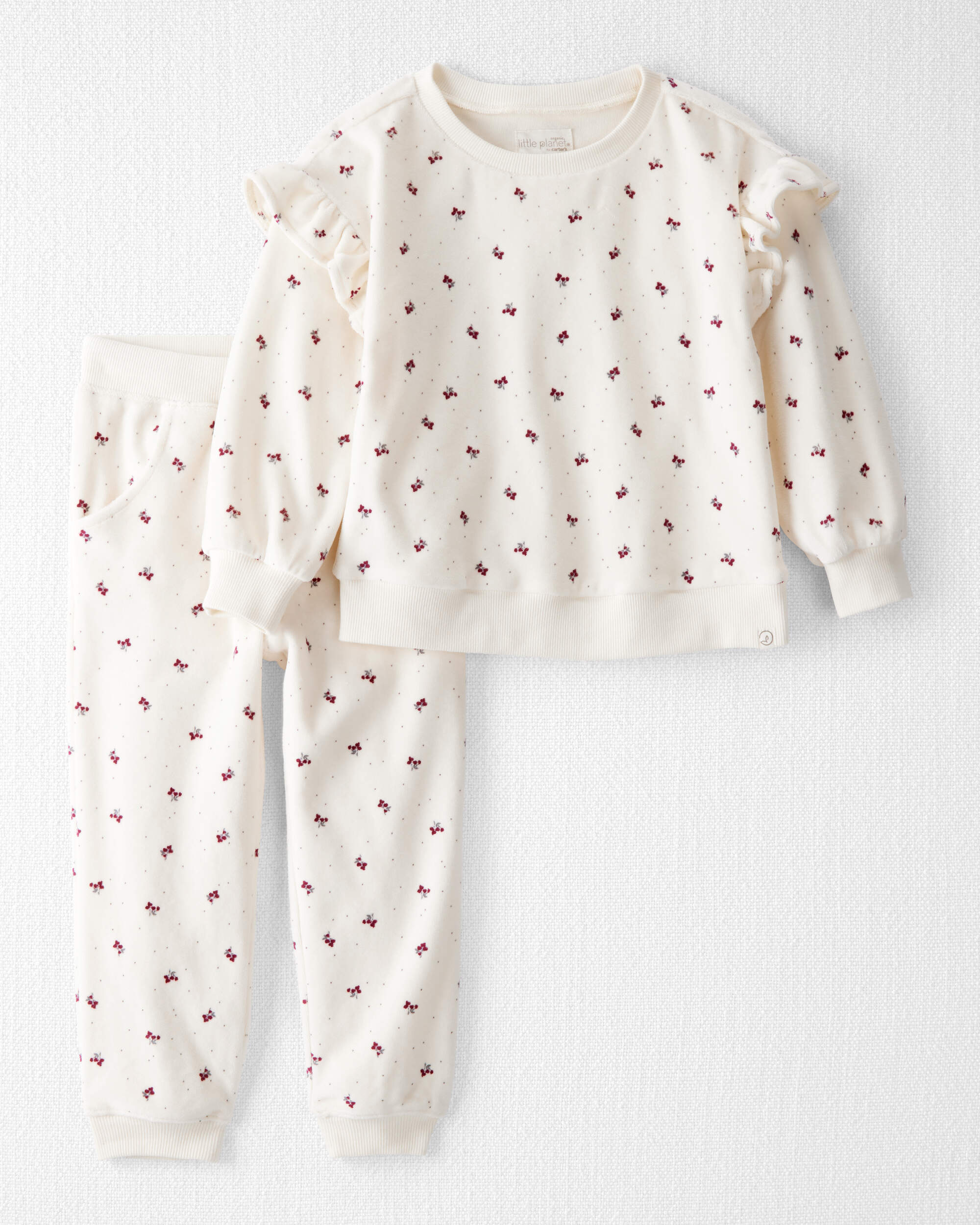 Toddler Girl 2-Piece Organic Cotton Velour Set Wild Rose Print