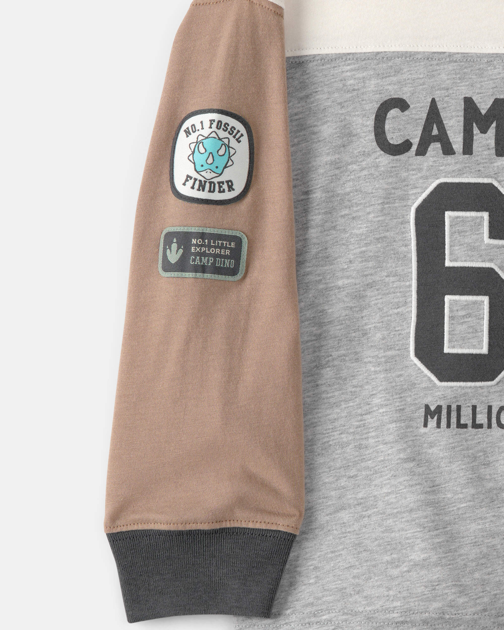 Toddler Boy 'Camp Dino' Long-Sleeve T-Shirt - Brown/Grey