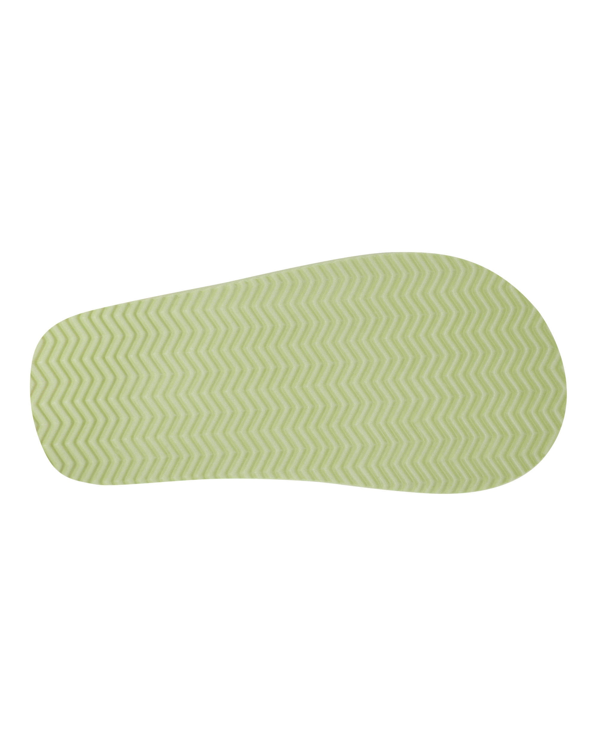 Dinosaur Flip Flops