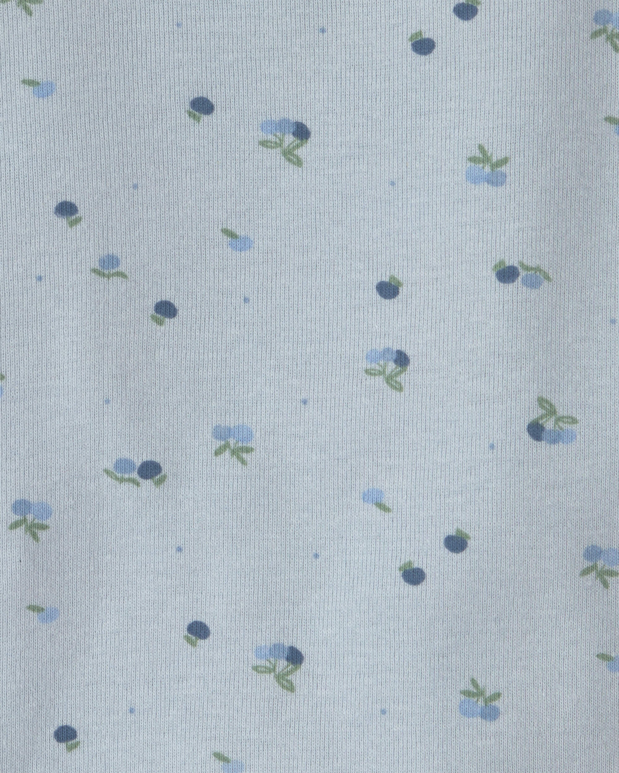 Baby Girl 4-Pack Blueberry Floral Long-Sleeve Bodysuits - Blue