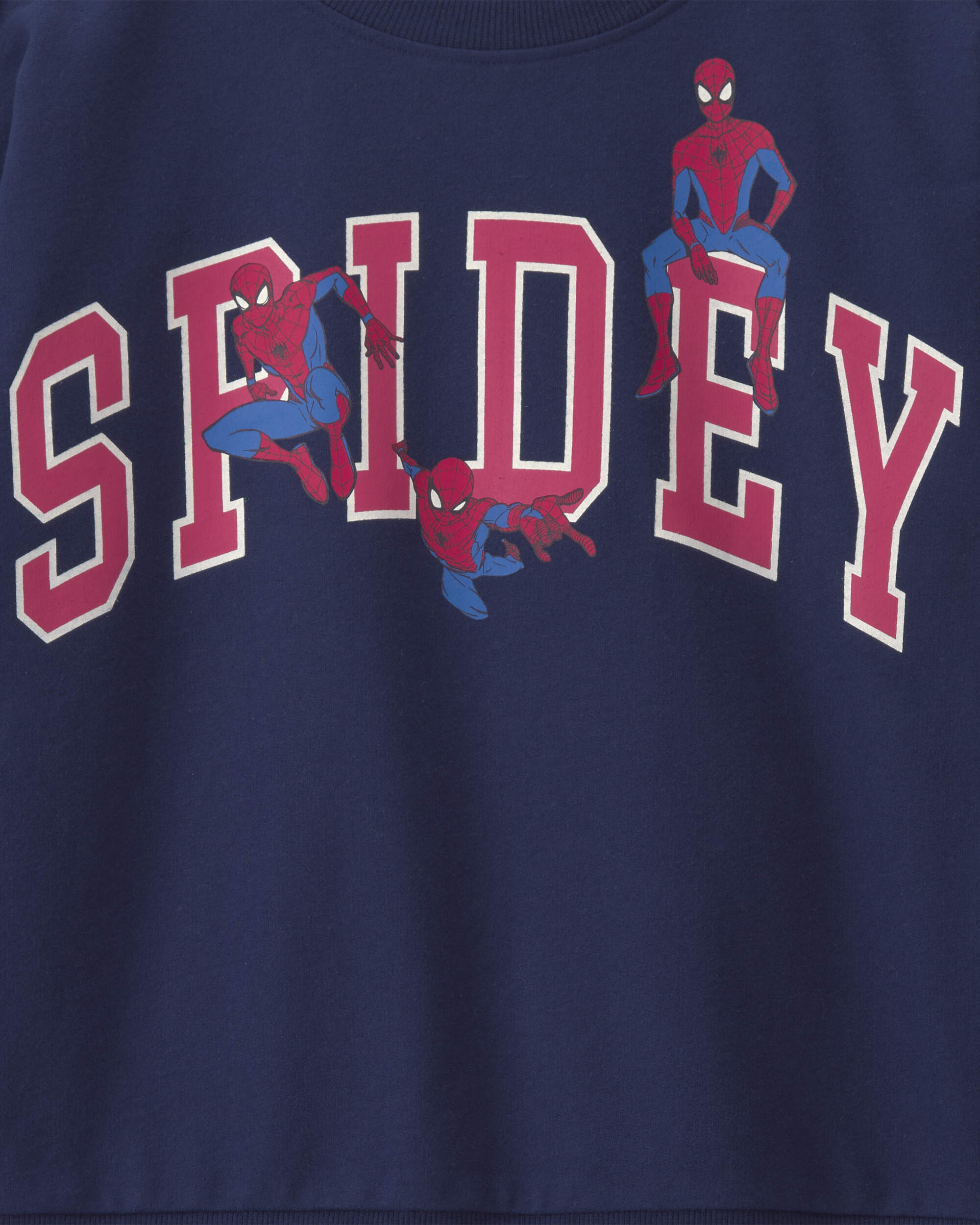 Boys ©Marvel Spider-Man Pullover Sweatshirt - Navy Blue