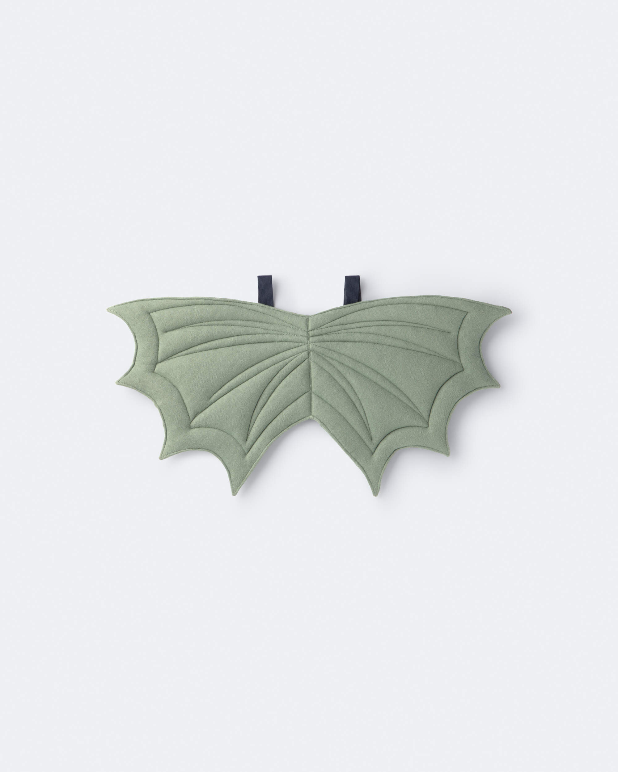 Toddler Boy Dragon Wings - Sage