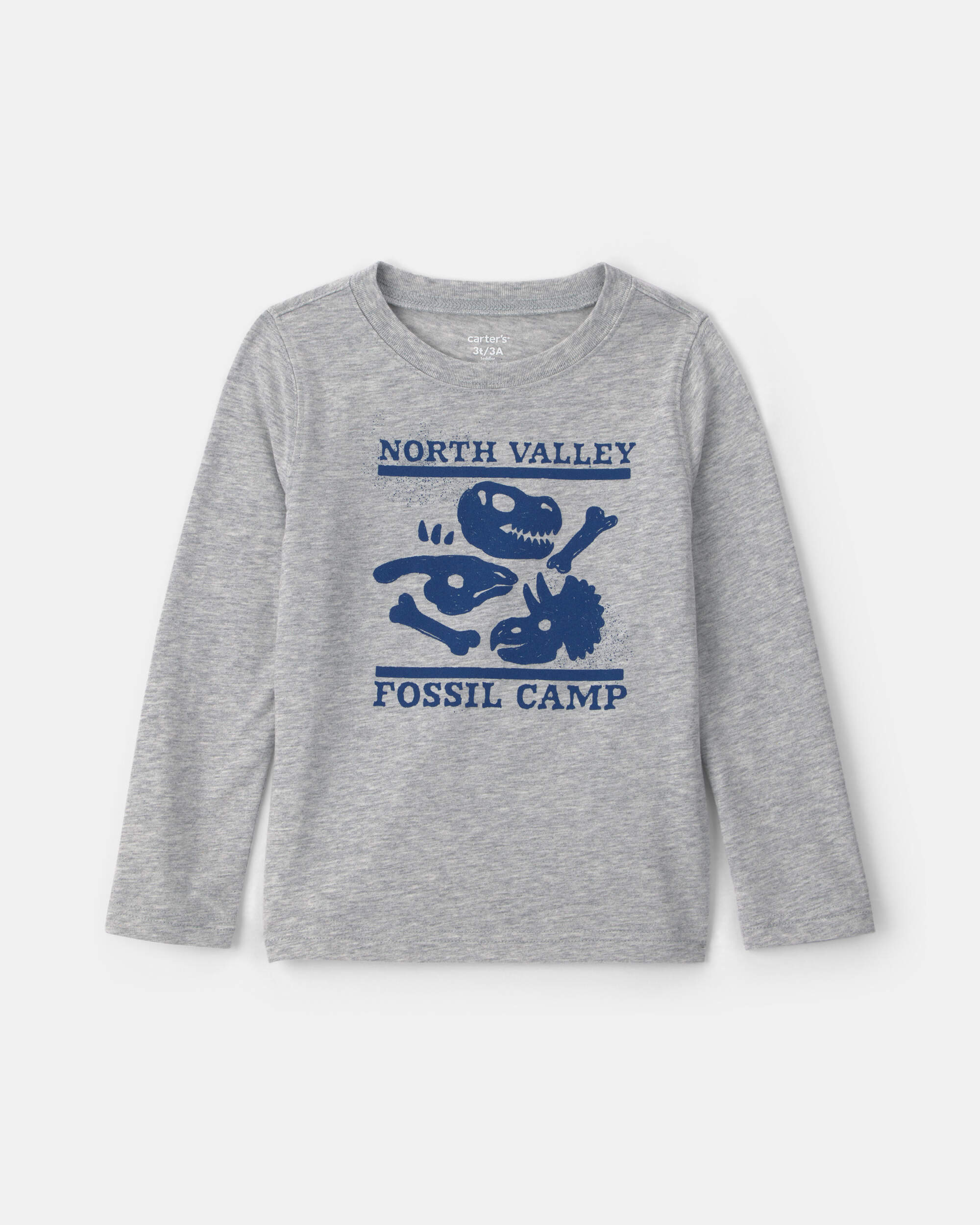 Toddler Boy 'North Valley Fossil Camp' Dinosaur Long-Sleeve Graphic Tee - Grey