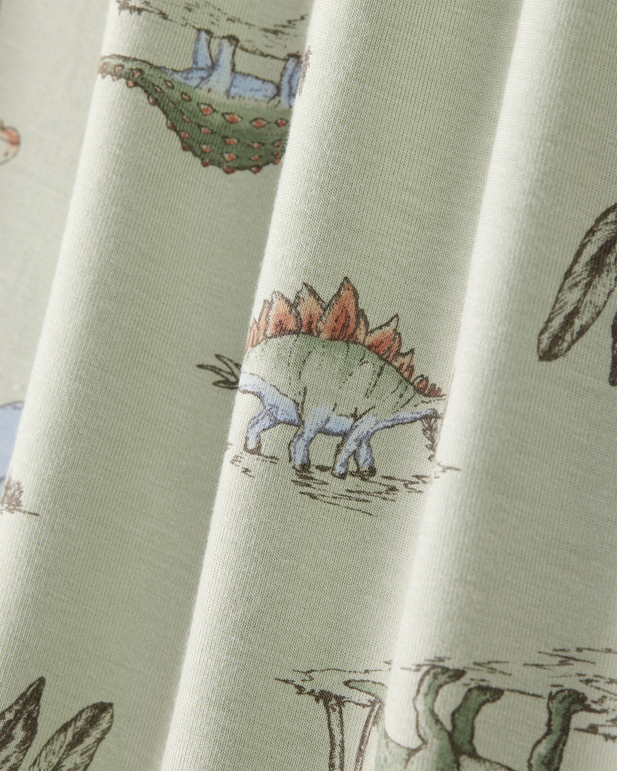 Toddler Boy Dinosaur Print PurelySoft Long-Sleeve 2-Piece pyjamas - Green