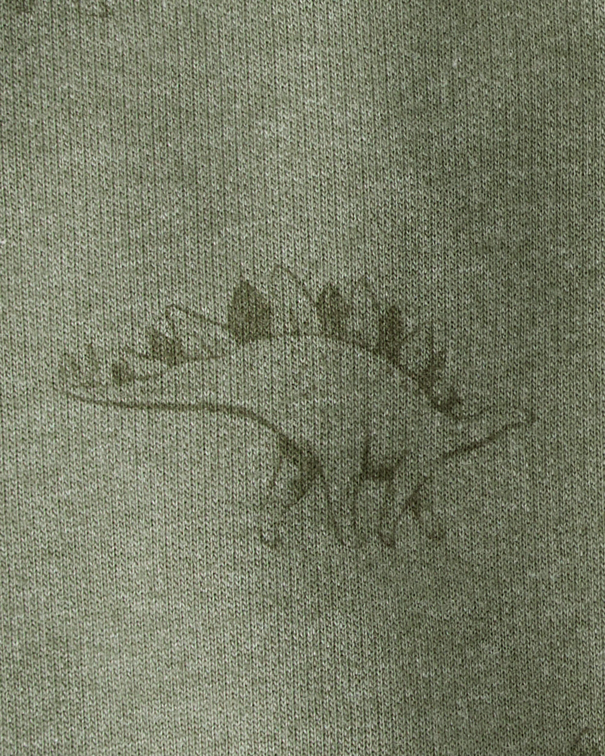 Toddler Boy Dinosaur French Terry Jogger - Green