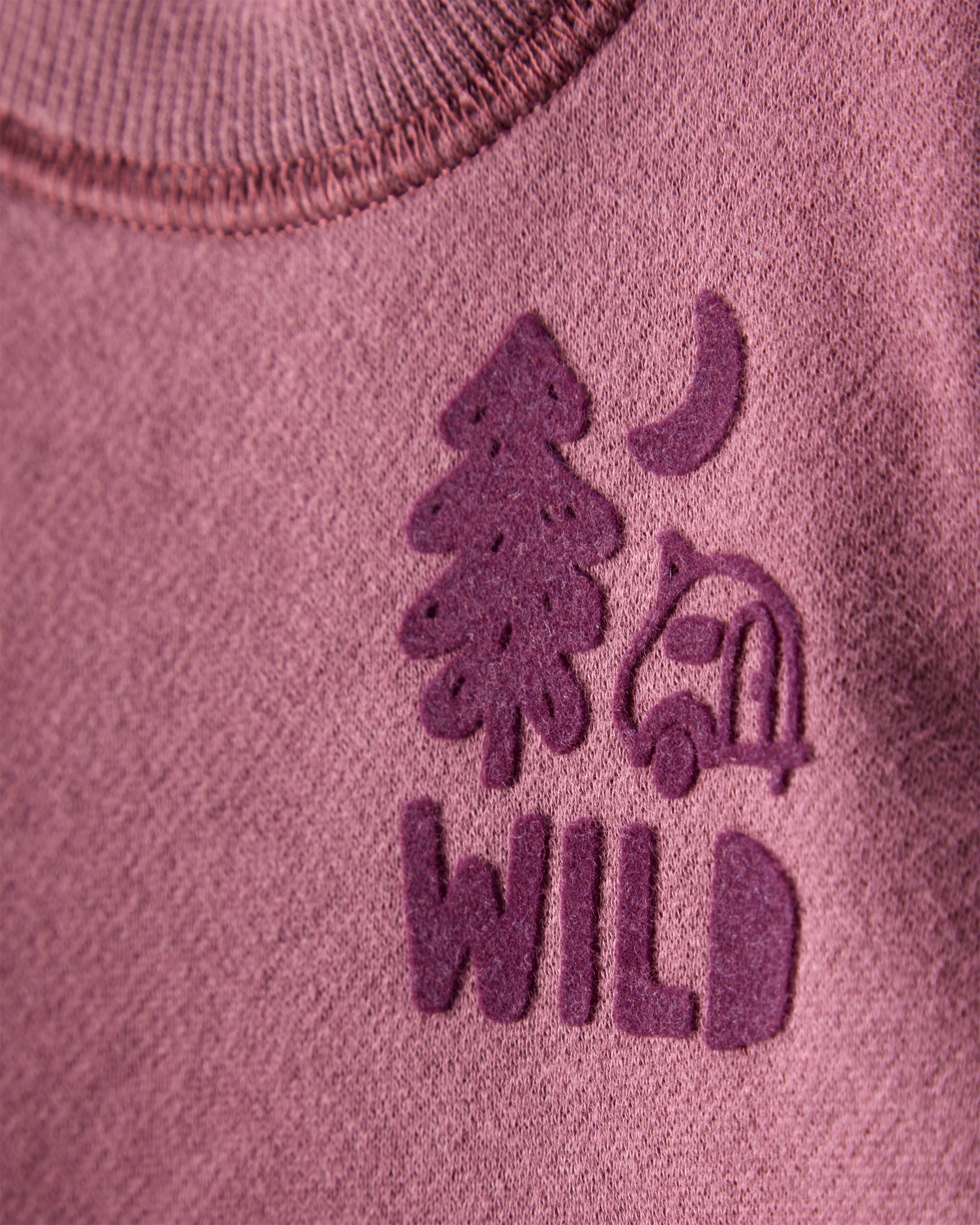 Baby Boy 2-Piece Camping Fleece Sweatshirt & Pant Set - Maroon/Blue