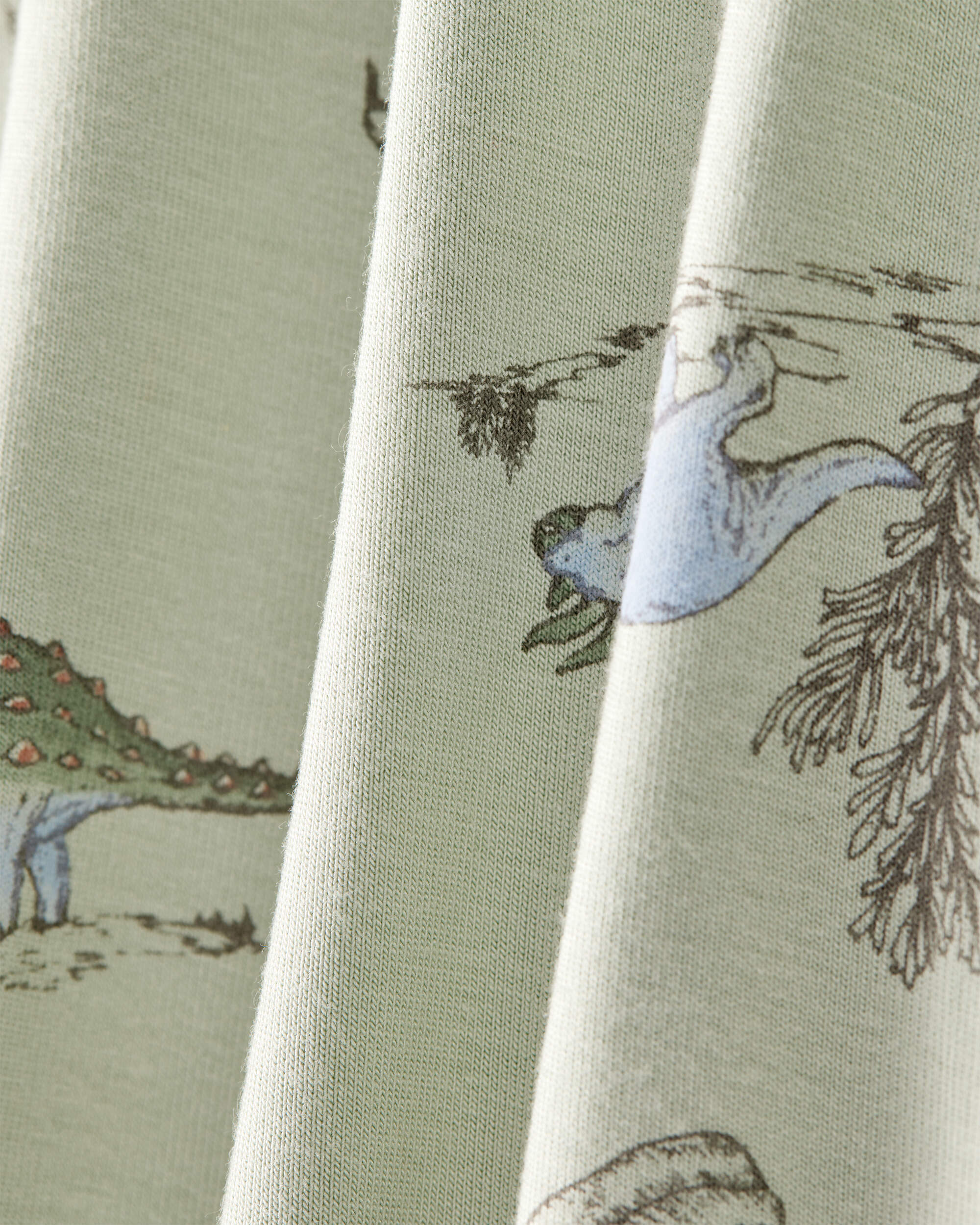 Baby Boy 2-Pack Dinosaur Print PurelySoft Long-Sleeve Multipack Bodysuits - Green