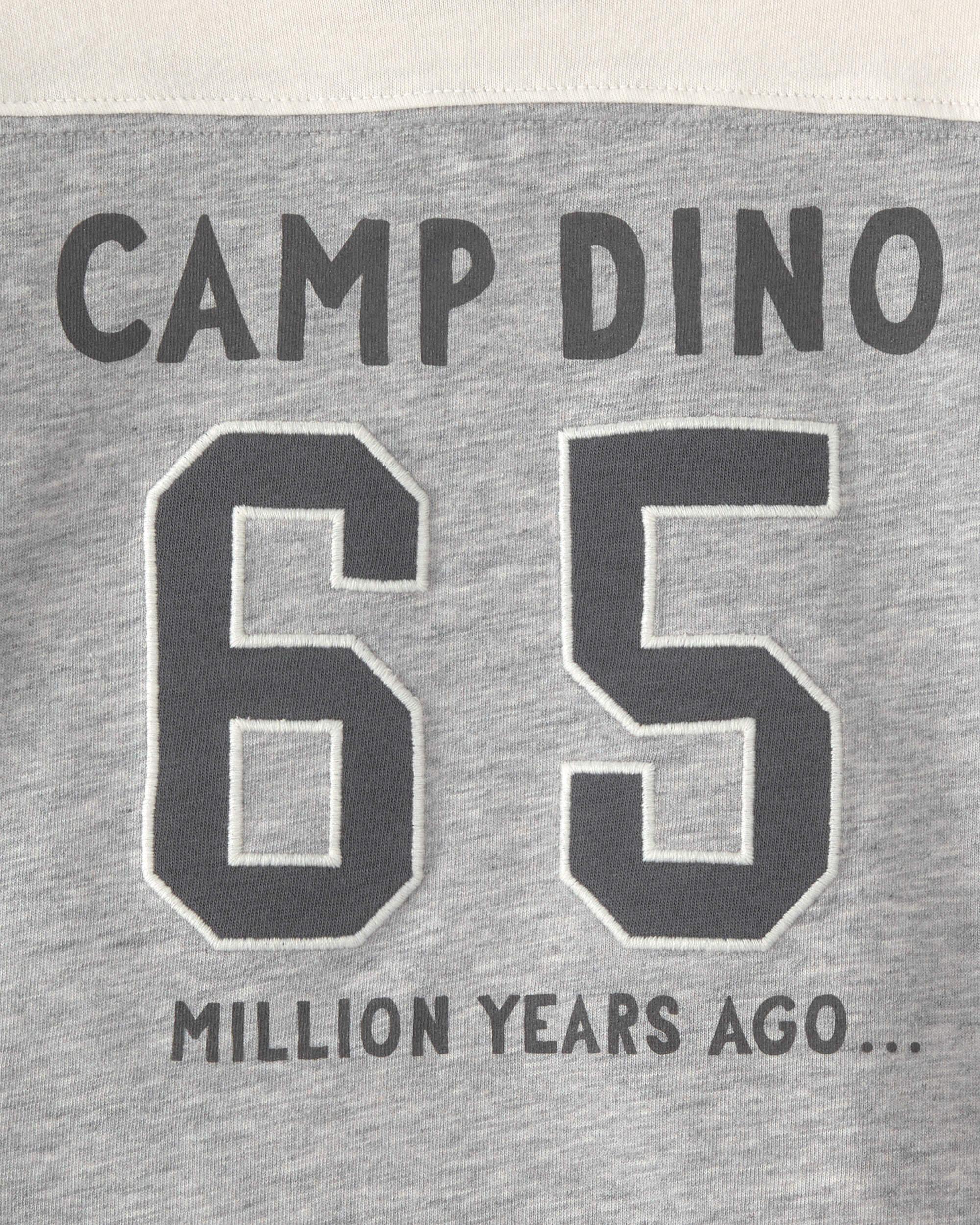 Baby Boy 'Camp Dino' Long-Sleeve T-Shirt - Brown/Grey